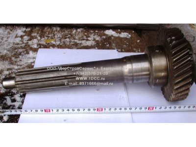 Вал первичный КПП ZF L-383мм, Z-34 H2/H3 КПП (Коробки переключения передач) 2159302006 фото 1 Тула