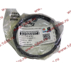 Кольца поршневые (компл. на дв-ль) DF DONG FENG (ДОНГ ФЕНГ) C3964073,C3921919,C394841 для самосвала фото 3 Тула