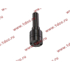 Распылитель DELPHI L337PBB DBG H HOWO (ХОВО) L337PBB фото 3 Тула