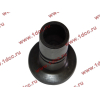 Стакан штанги-толкателя двигатель TD226B6G LONGGONG Lonking CDM (СДМ) 12273399 фото 4 Тула