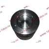 Поршневая группа WD615.95 375л.с. (6 гильз, 6 поршней (...0004), 6 пальцев,комплект колец) H3 BOWEI HOWO (ХОВО)  фото 8 Тула